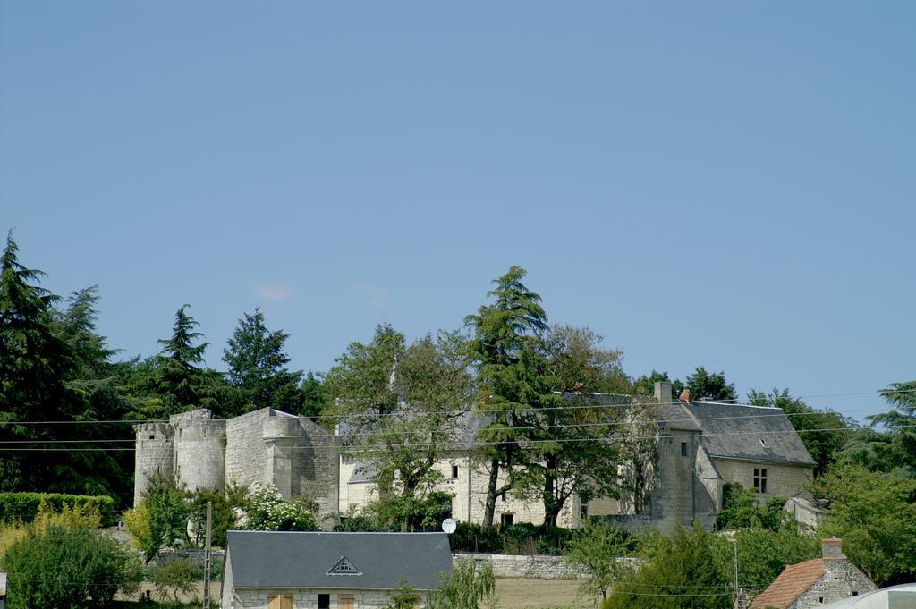 Château de la Roche Martel Roiffé Exterior foto